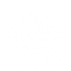 Logosímbolo de la Universidad Santo Tomas